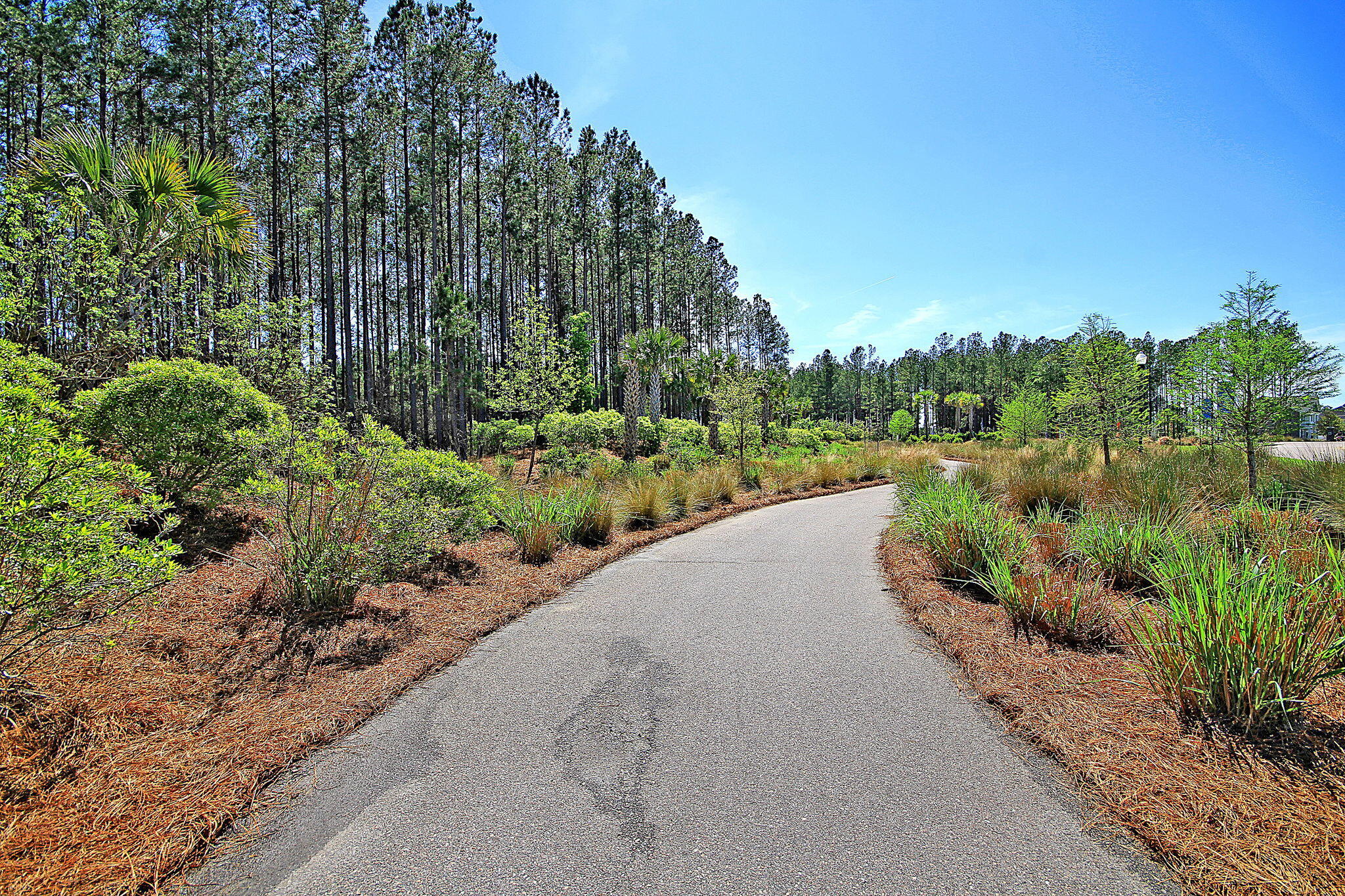 274 Calm Water Way Summerville, SC 29486 - Photo 55 of 63 IMG_1649 copy