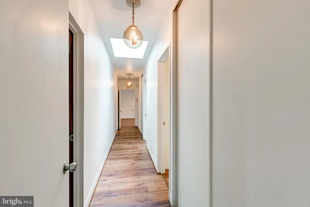 a view of a yard with plants and a tree