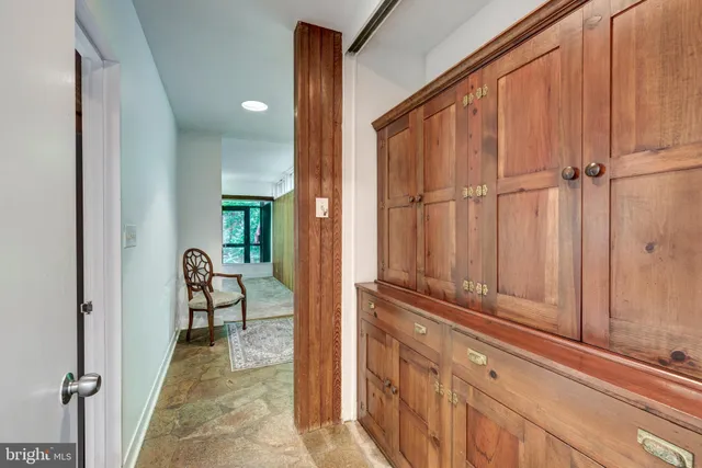 a view of a yard with plants