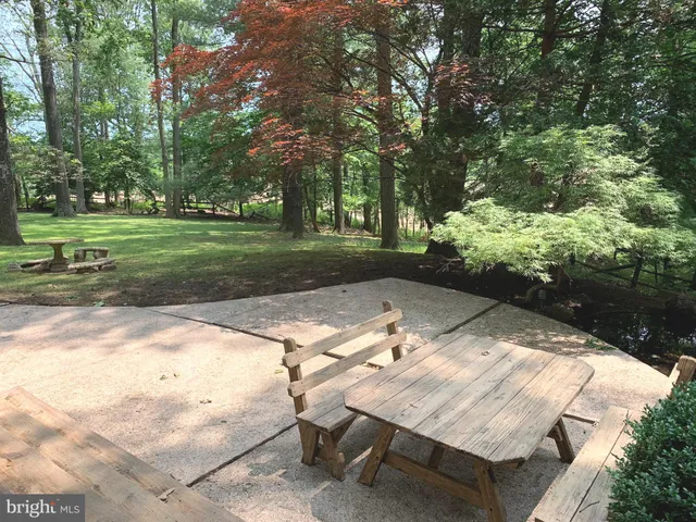 a view of a yard with large trees