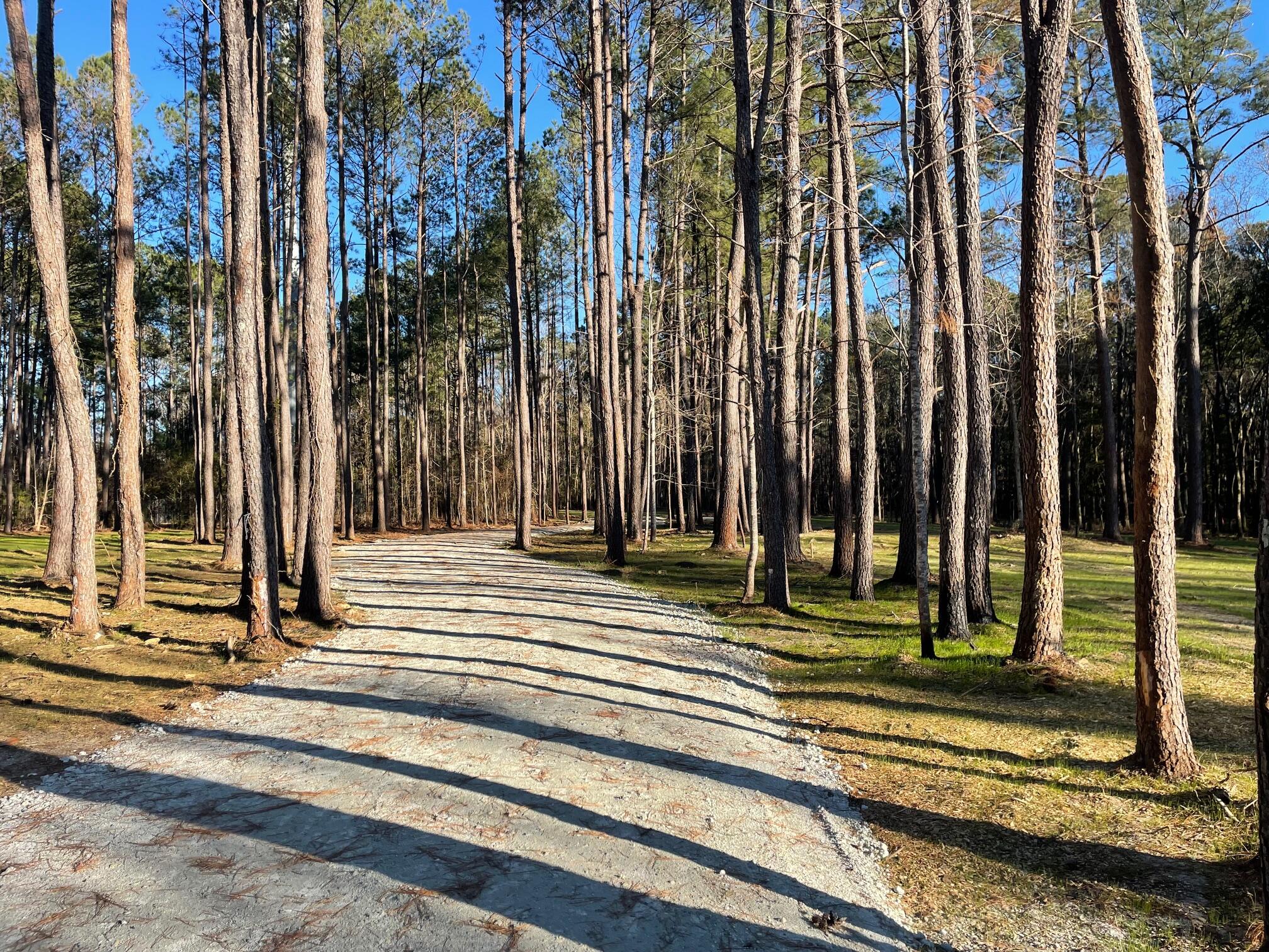 1 Generations Lane Summerville, SC 29486 - Photo 3 of 6 IMG_6501