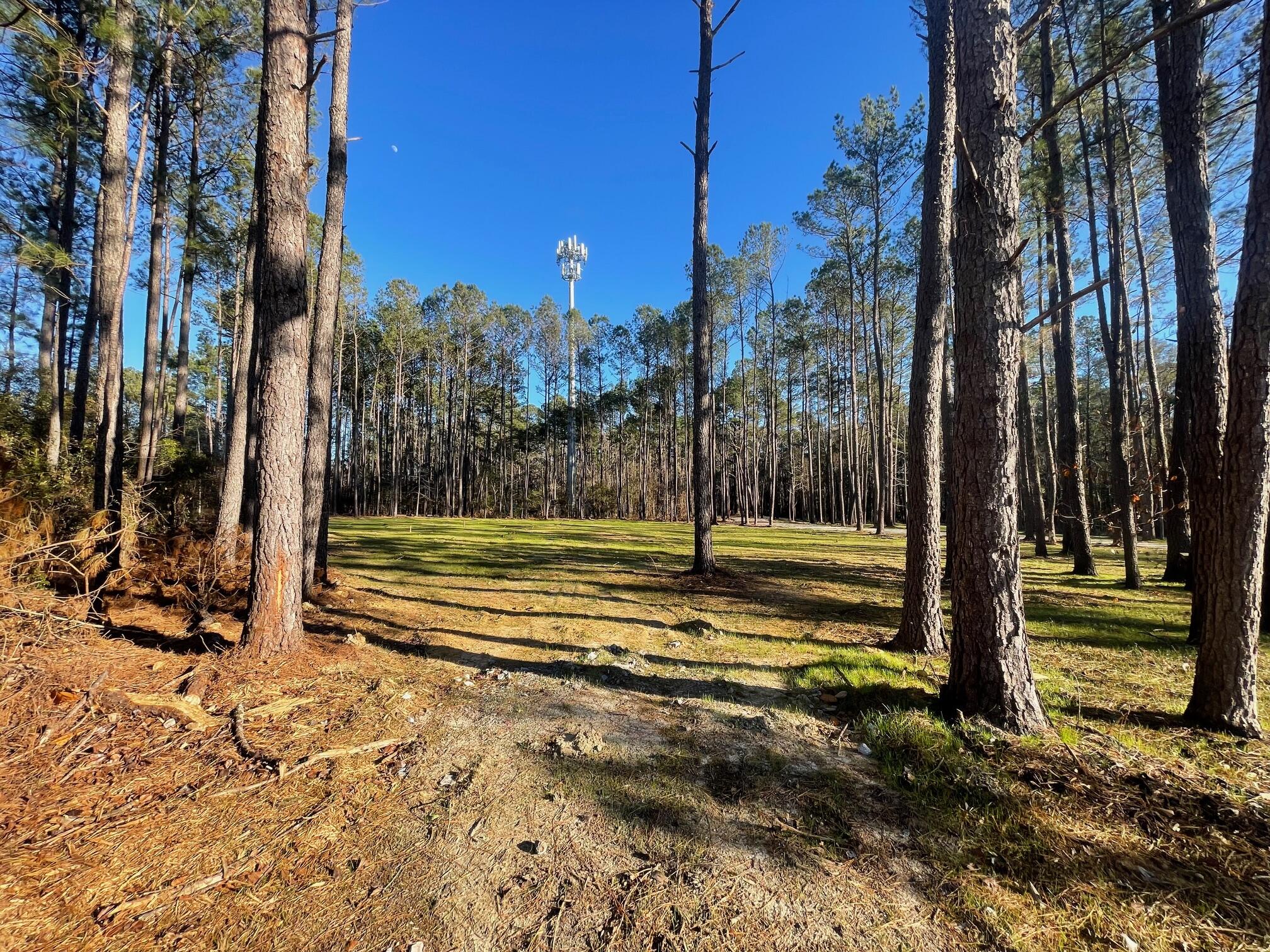 1 Generations Lane Summerville, SC 29486 - Photo 4 of 6 IMG_6487