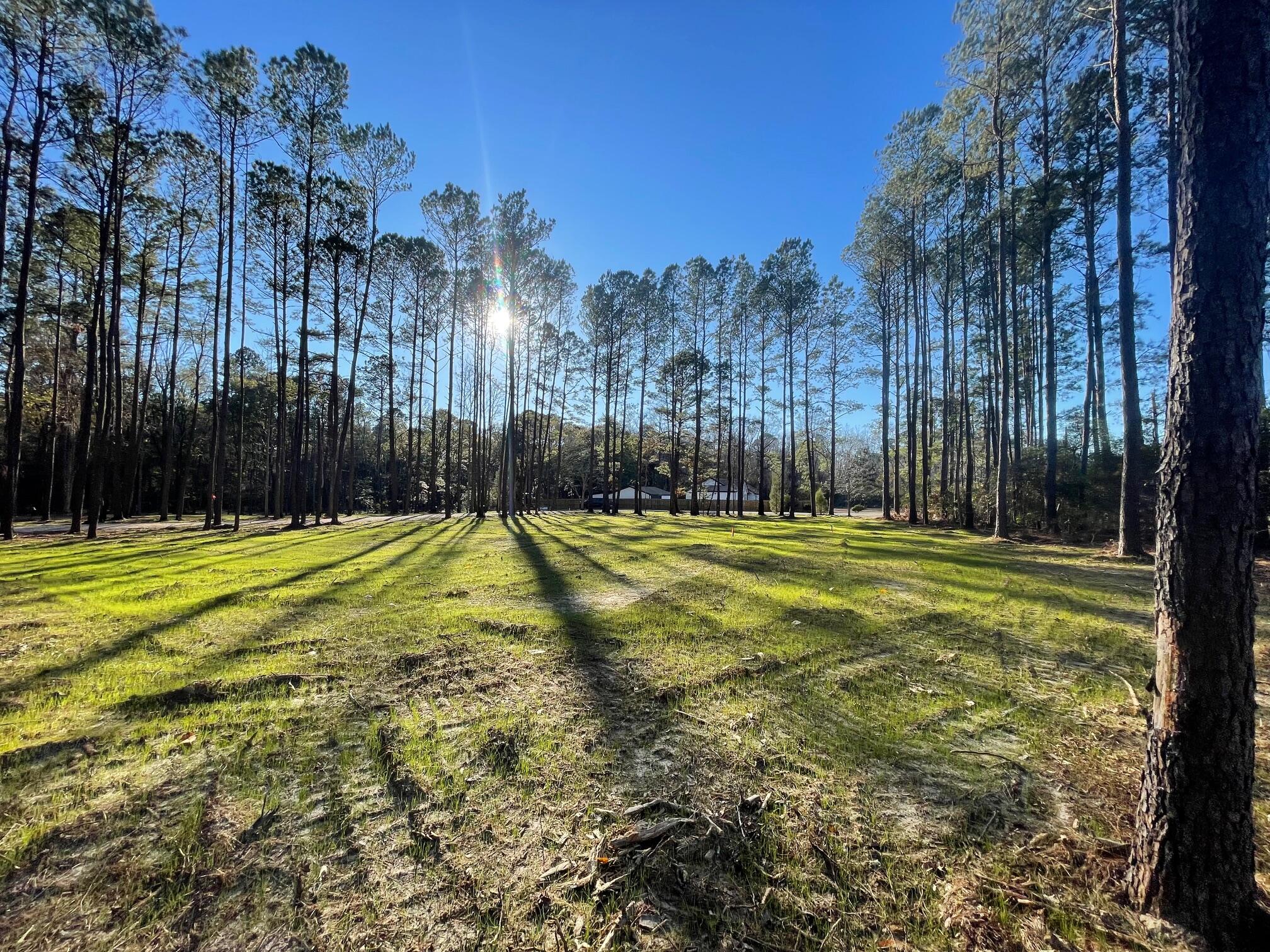 1 Generations Lane Summerville, SC 29486 - Photo 5 of 6 IMG_6489