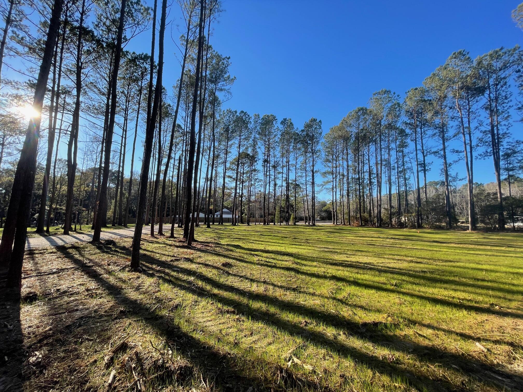 1 Generations Lane Summerville, SC 29486 - Photo 6 of 6 IMG_6491