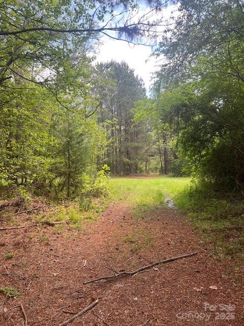 a view of a yard with a tree