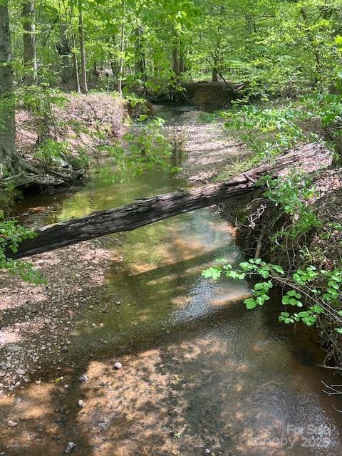 Tbd Pleasant Hill Church Road Wadesboro, NC 28170 - Photo 2 of 8