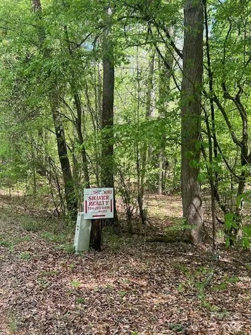 a sign that is sitting in the middle of forest