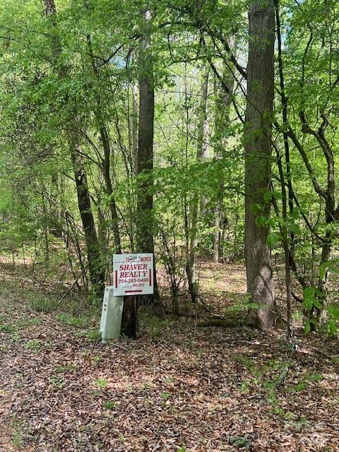 Tbd Pleasant Hill Church Road Wadesboro, NC 28170 - Photo 5 of 8