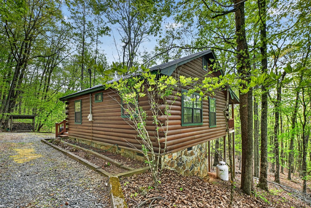 660 Ripshin Mountain Road Blue Ridge, GA 30513 - Photo 35 of 40