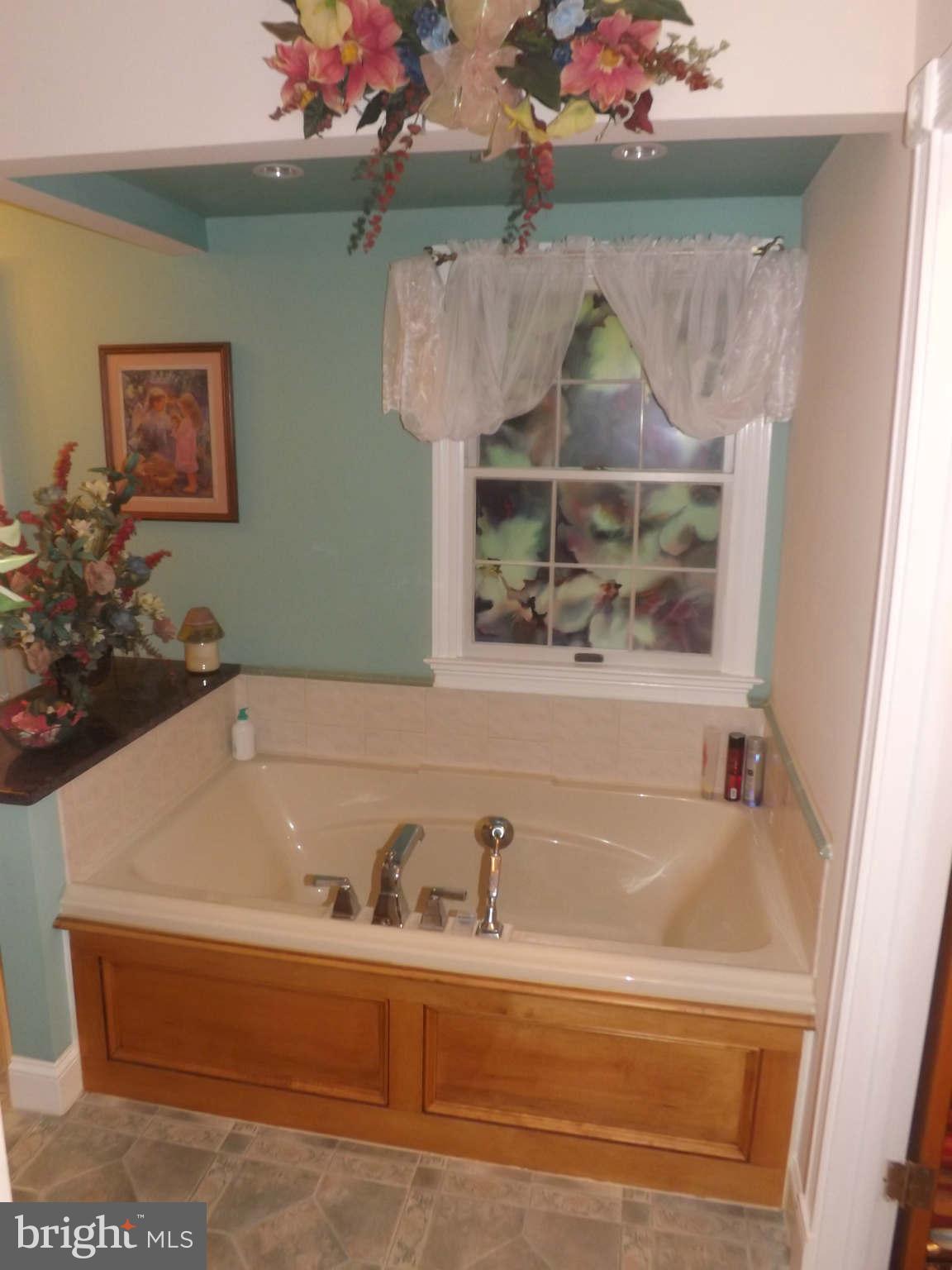 3307 Ferry Landing Road Dunkirk, MD 20754 - Photo 11 of 28 Bath (Master)