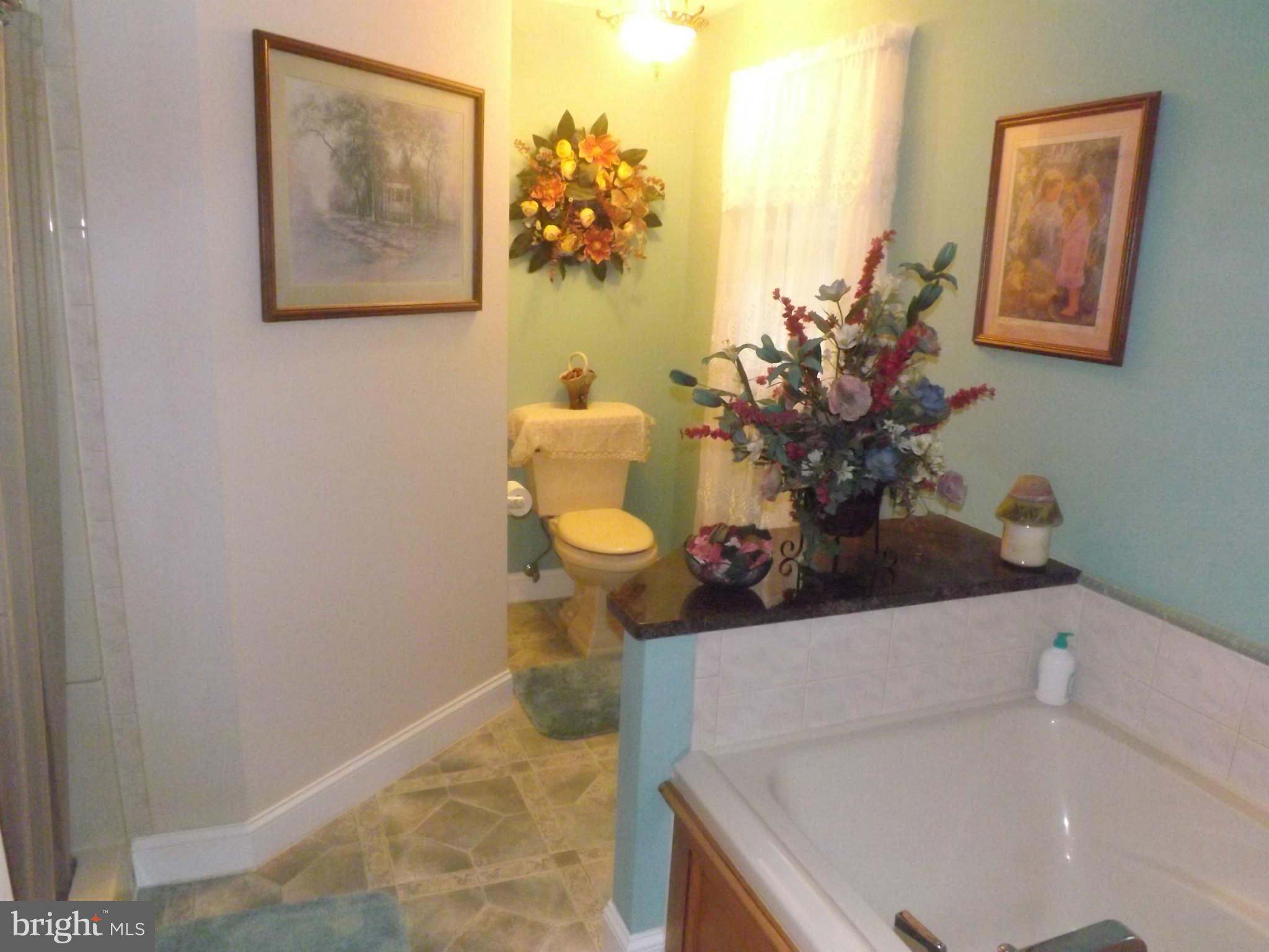 3307 Ferry Landing Road Dunkirk, MD 20754 - Photo 12 of 28 Bath (Master)