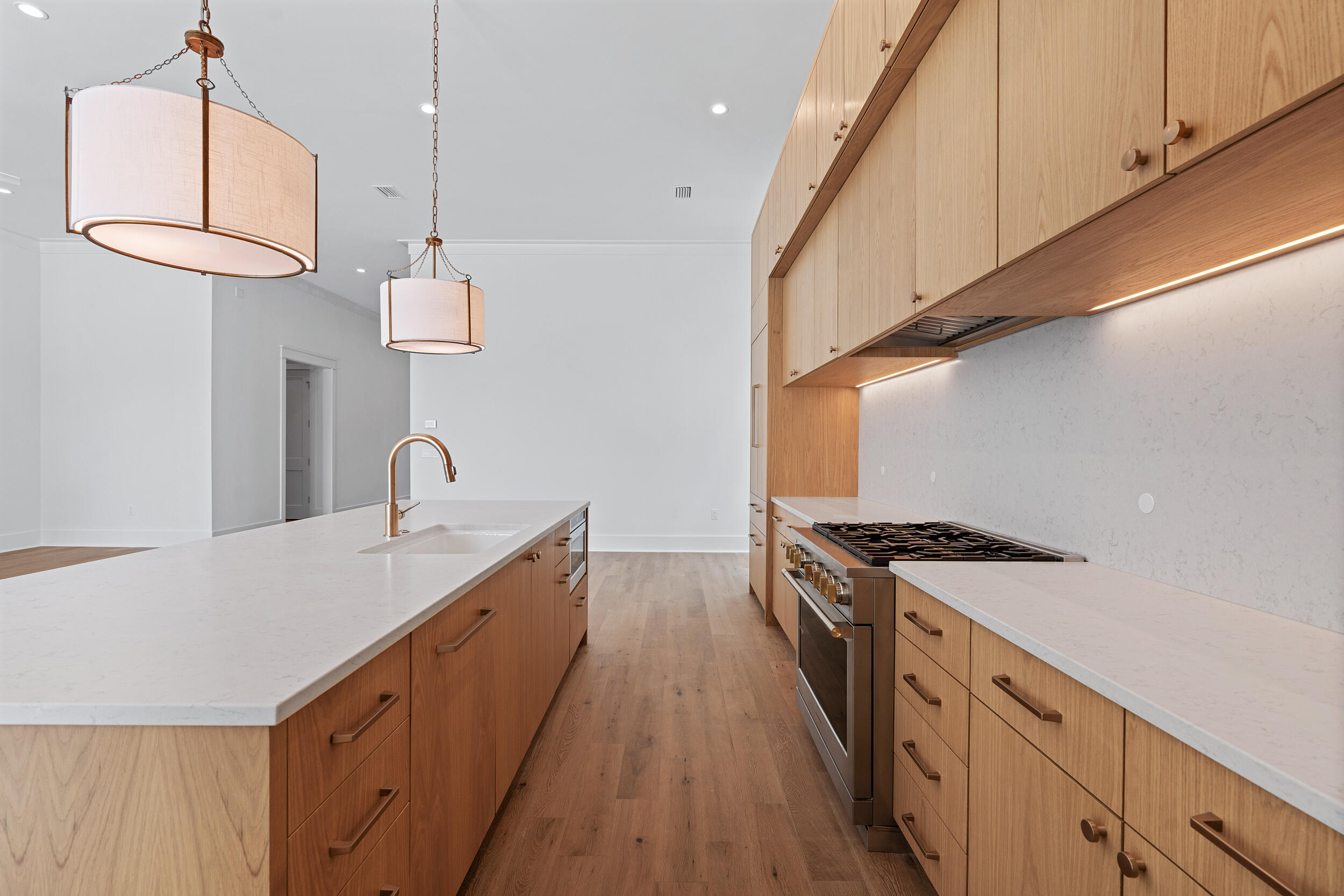 129 Pollard Cove West, Unit LOT 58 Watersound, FL 32461 - Photo 12 of 39 a kitchen with stainless steel appliances a sink a stove and a wooden floors
