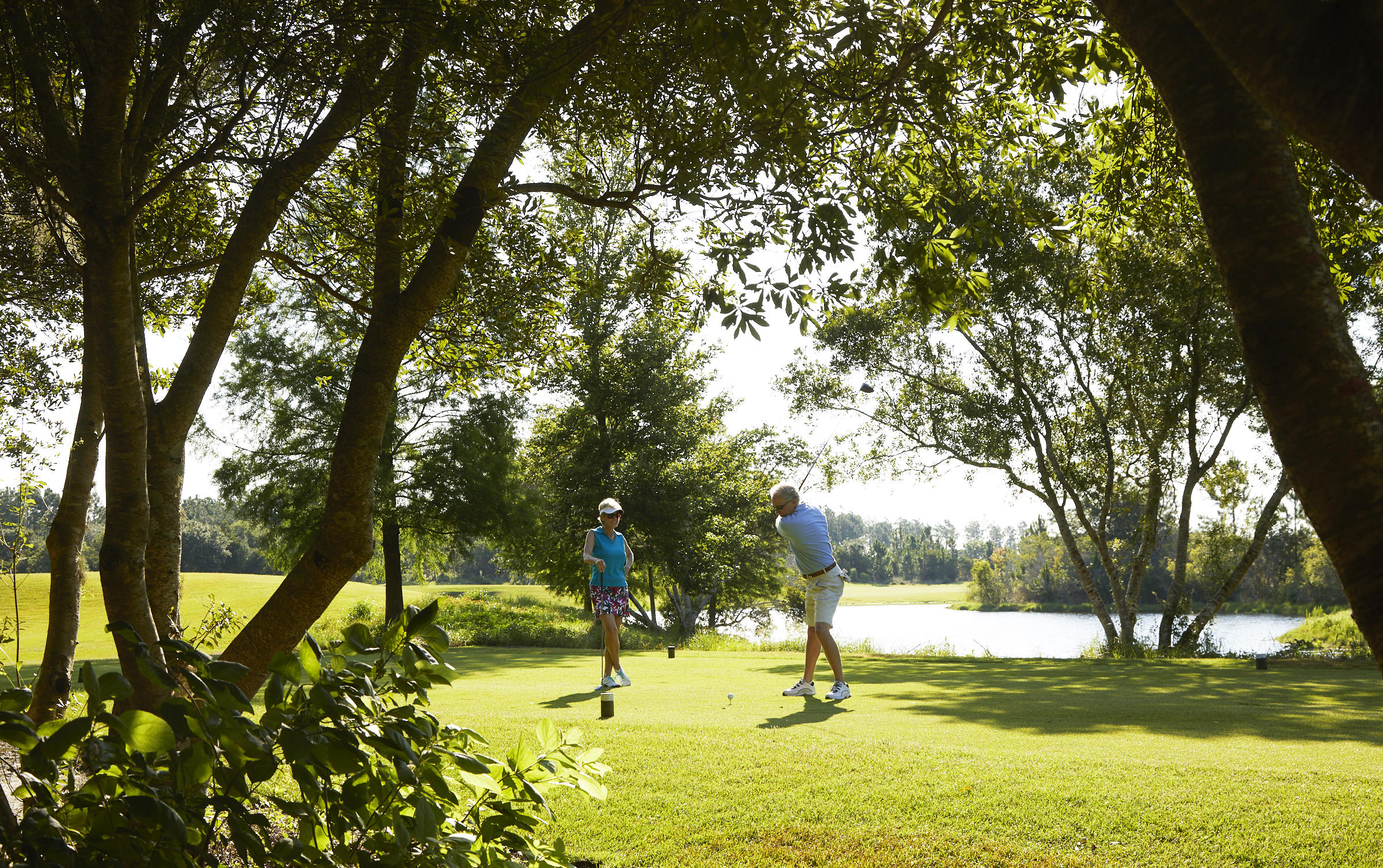129 Pollard Cove West, Unit LOT 58 Watersound, FL 32461 - Photo 22 of 39 a view of a yard with swimming pool