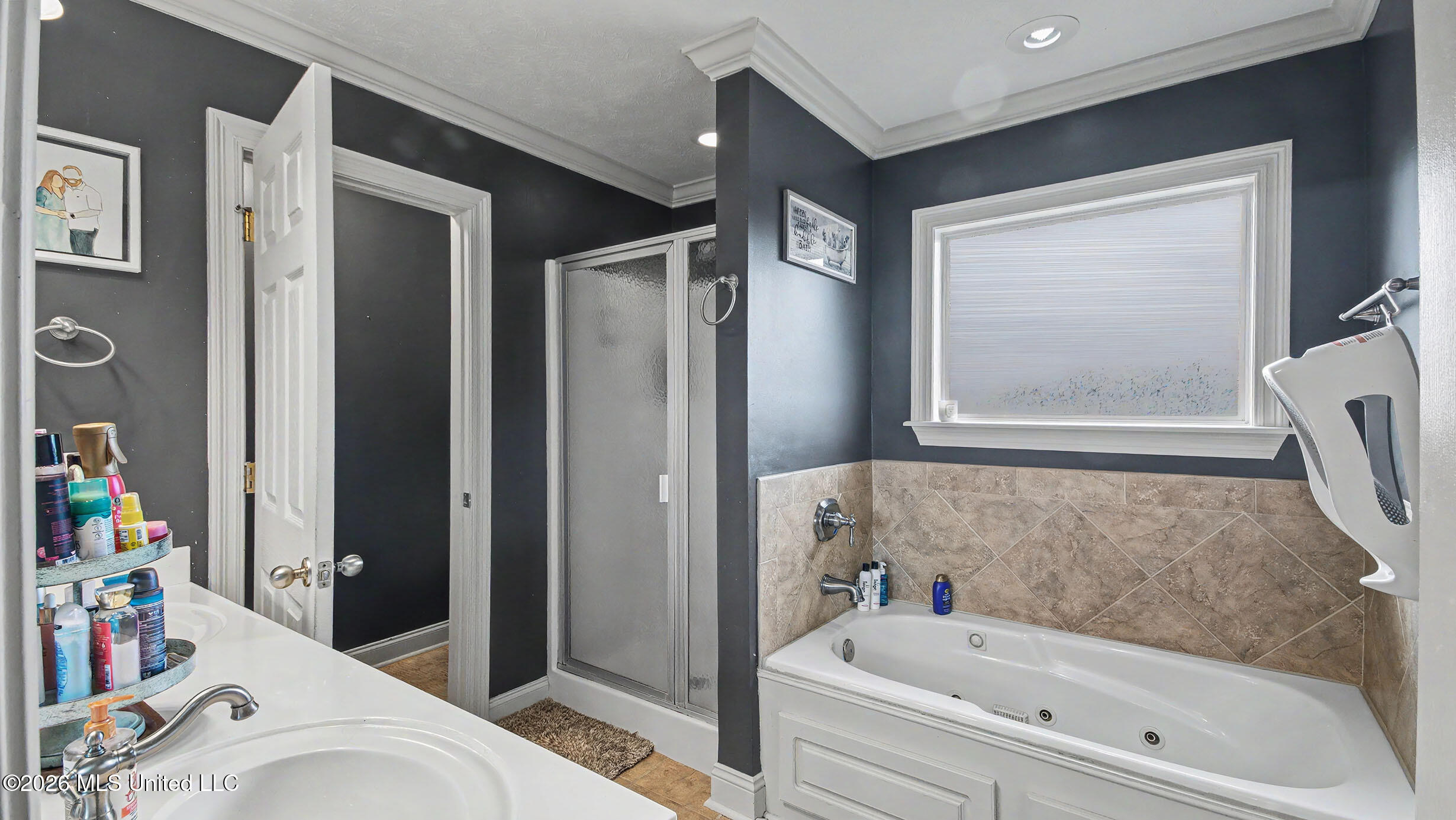 304 Springhill Point Brandon, MS 39047 - Photo 25 of 31 IMGP7275_6_7