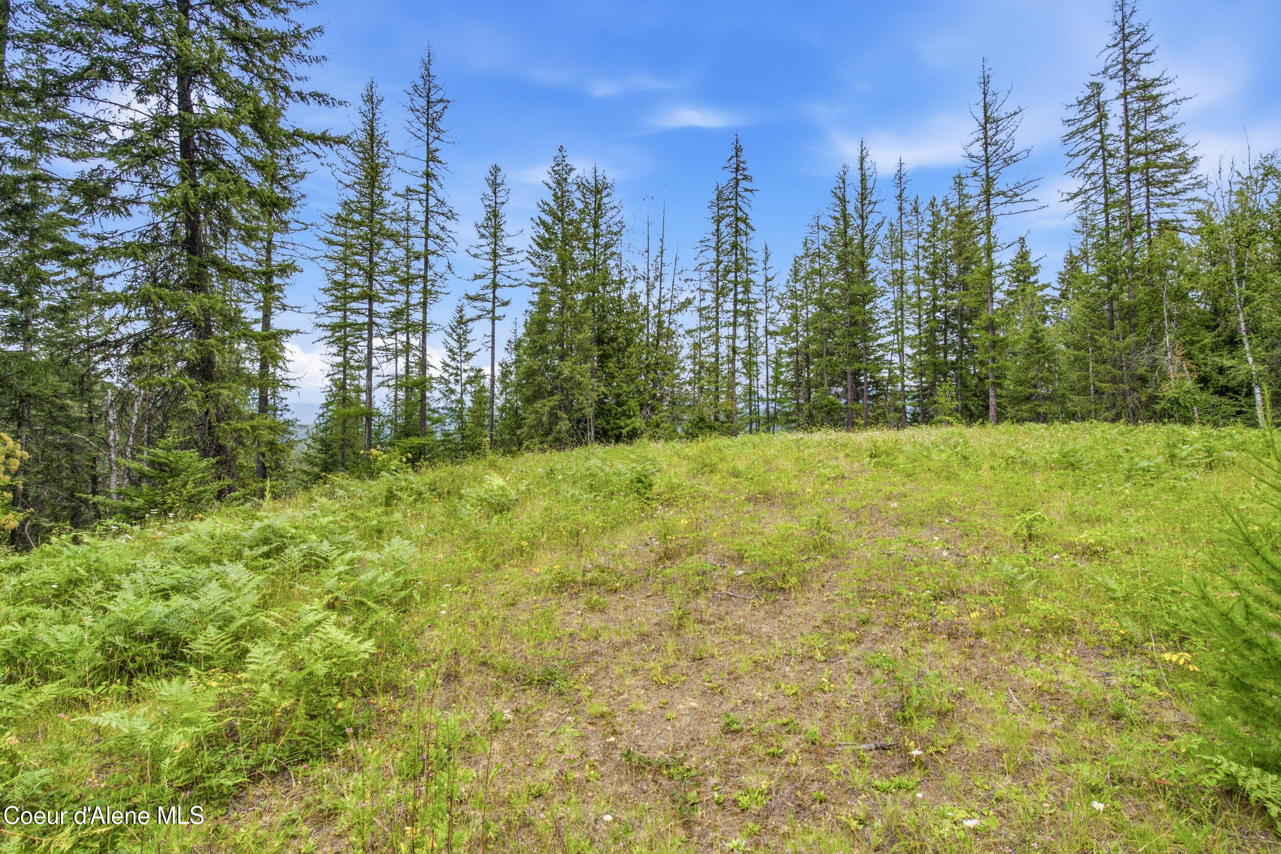 217 Whodathunkit Road Sandpoint, ID 83864 - Photo 22 of 30 22__dsc0133