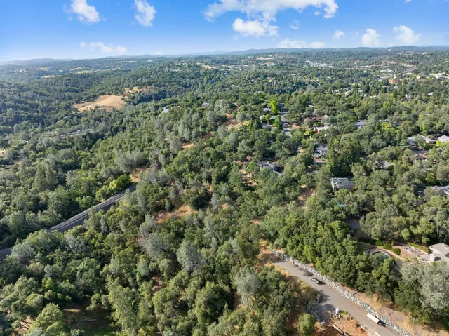 a view of a yard with a large tree