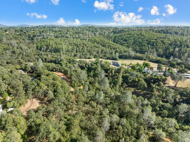 a view of a green field with lots of bushes