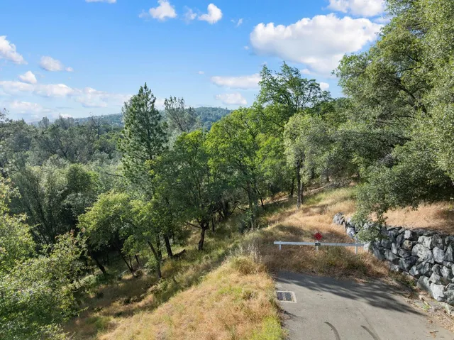a view of a yard with plants and a trees