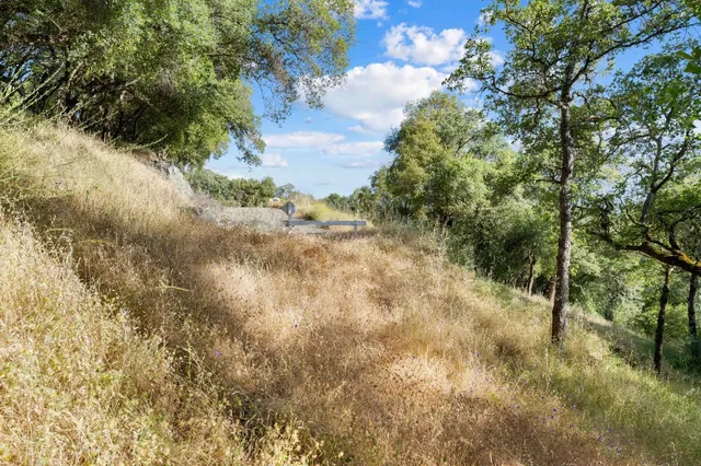 a view of a yard with trees