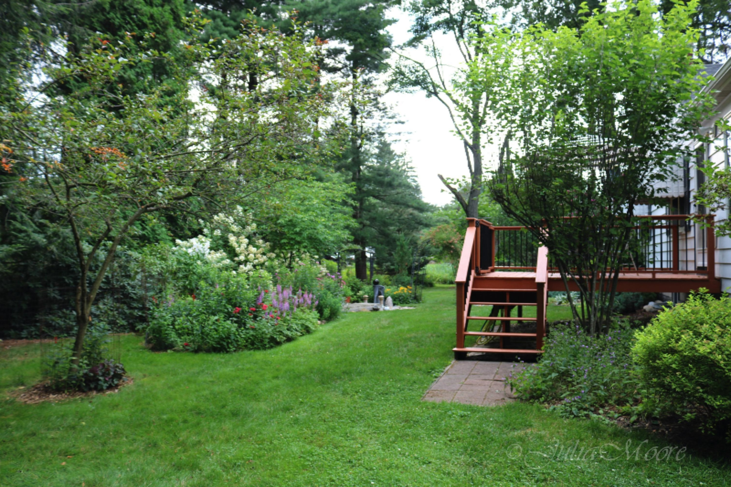 6090 Green Road Haslett, MI 48840 - Photo 36 of 41 IMG_4678