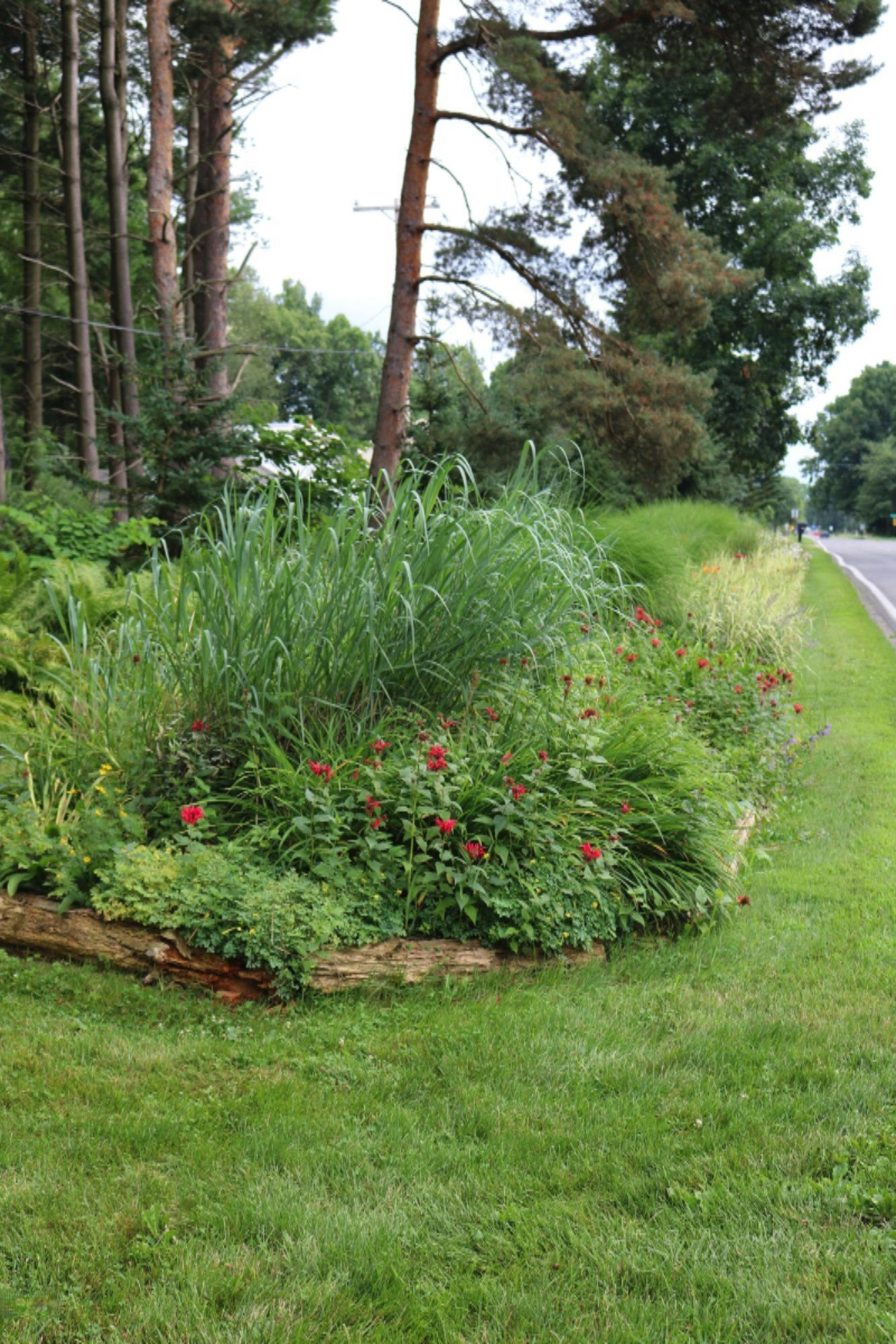 6090 Green Road Haslett, MI 48840 - Photo 41 of 41 IMG_4687