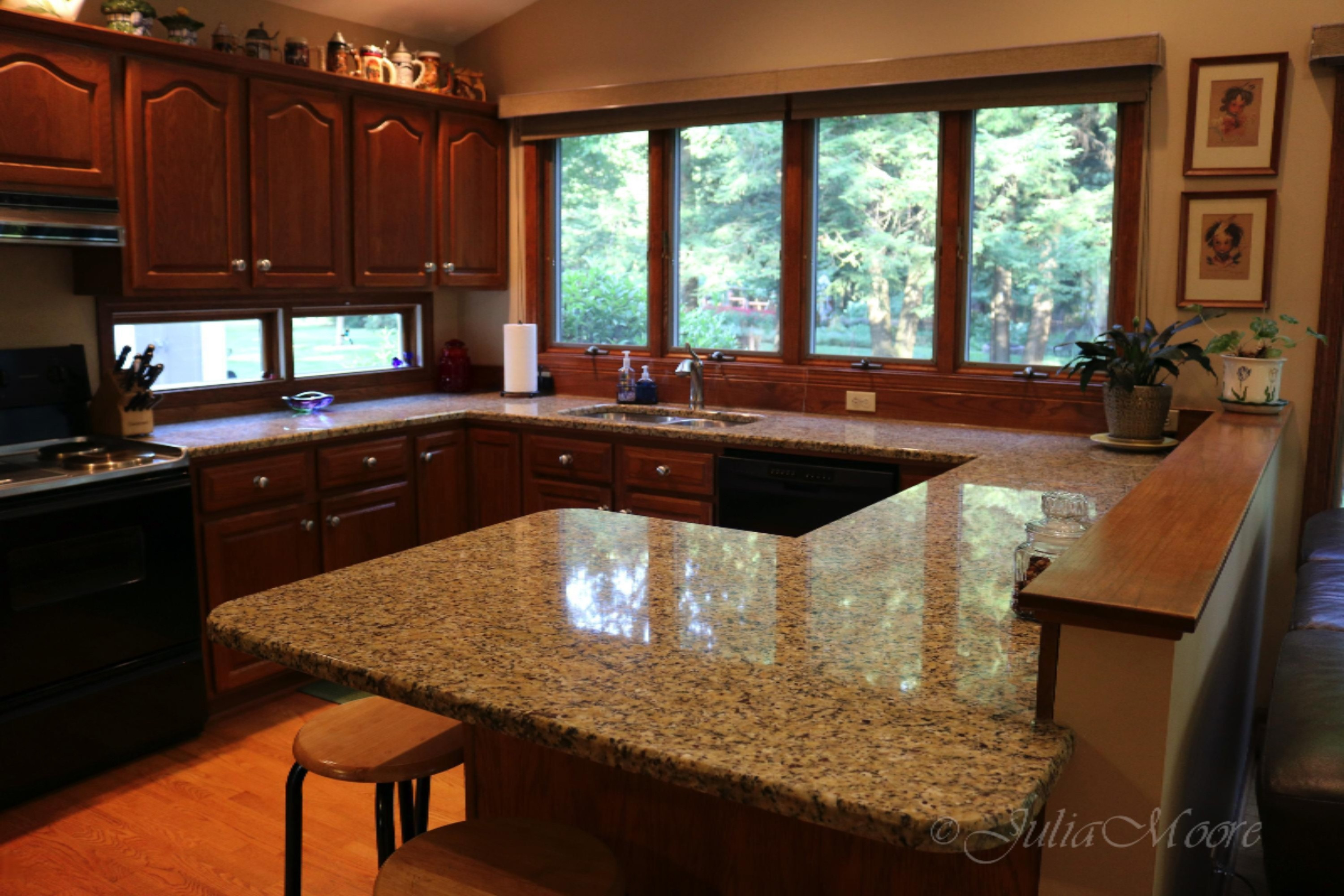 6090 Green Road Haslett, MI 48840 - Photo 6 of 41 IMG_4848