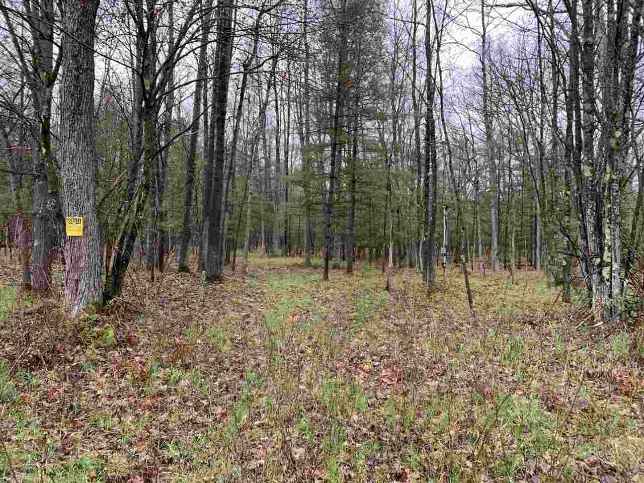 40 East Hawley Road Quincy, MI 49082 - Photo 5 of 5