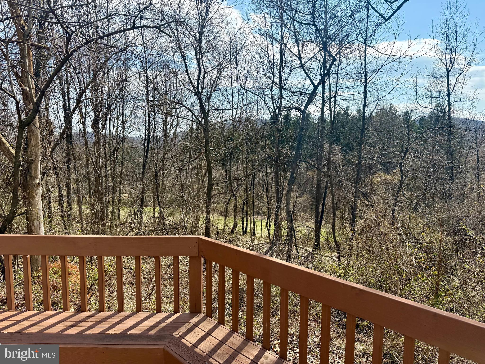 746 Sawmill Road Boyertown, PA 19512 - Photo 21 of 28