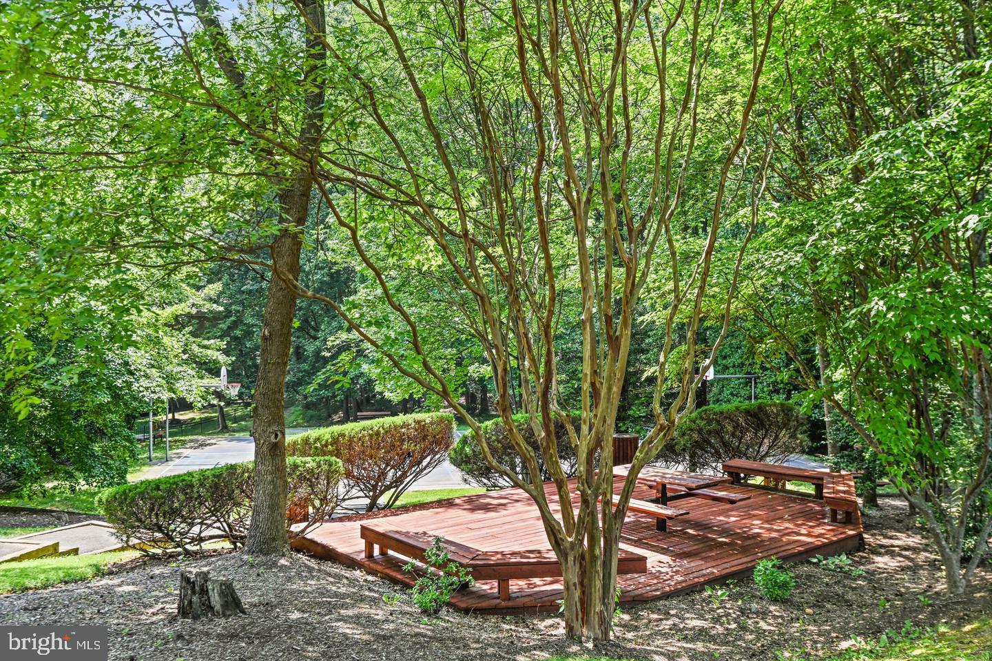 11081 Pelham Manor Place Reston, VA 20194 - Photo 70 of 99 Serene outdoor retreat in lush greenery.