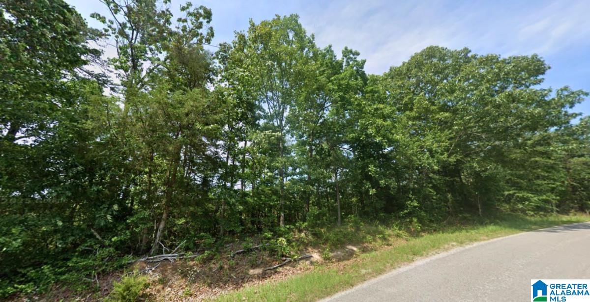 20 County Road Haleyville, AL 35565 - Photo 4 of 17