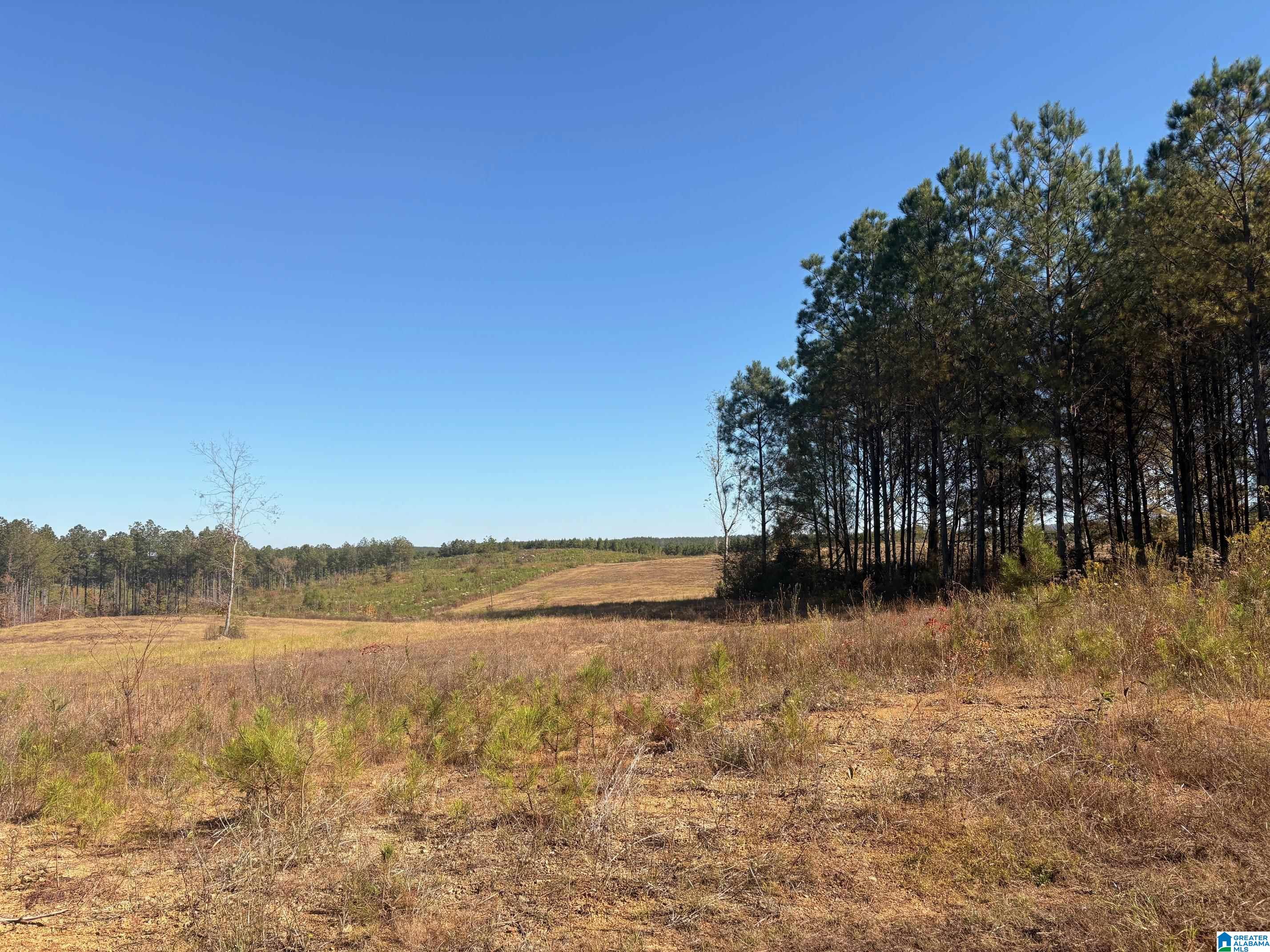 3679 Chelsea Road, Unit 2 Columbiana, AL 35051 - Photo 4 of 13