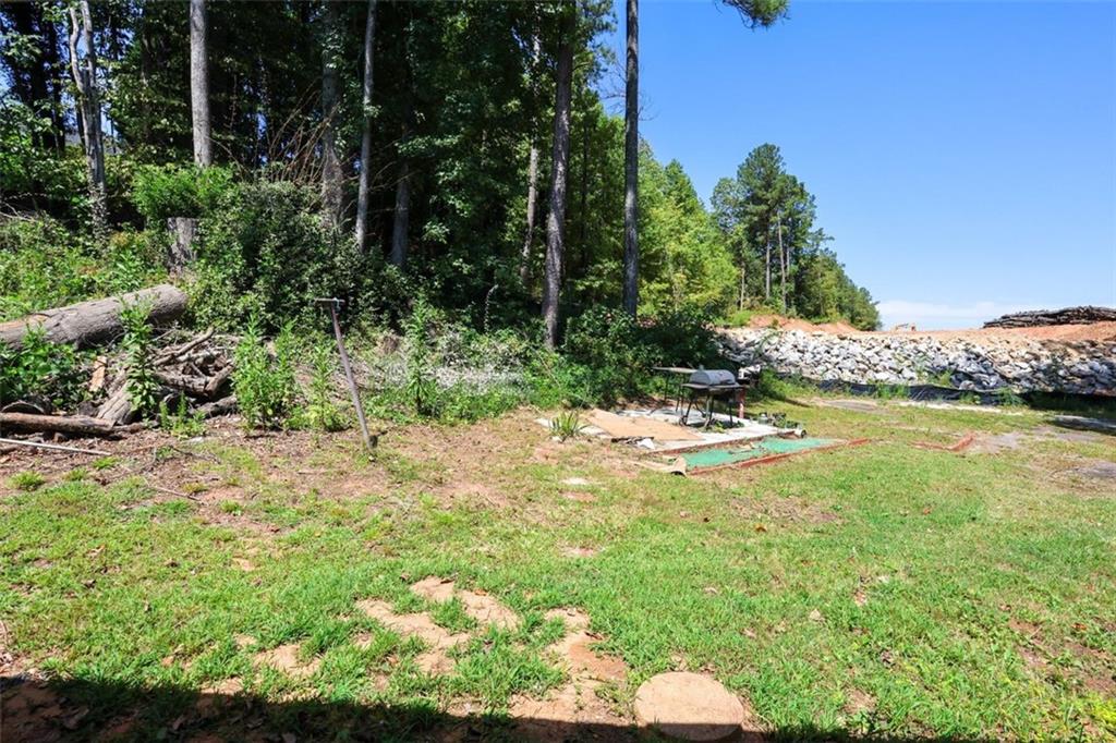 3462 Fairview Road Covington, GA 30016 - Photo 51 of 55 a view of a garden with an outdoor space