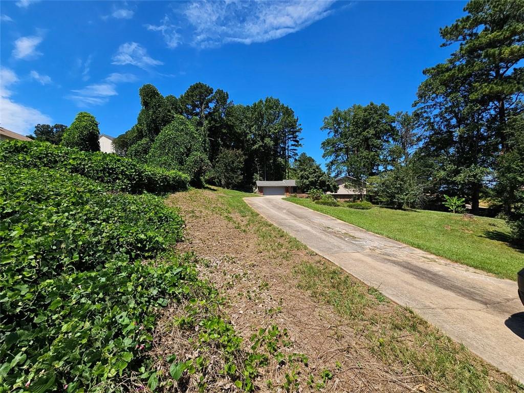 3462 Fairview Road Covington, GA 30016 - Photo 53 of 55 a view of a yard with plants and a trees