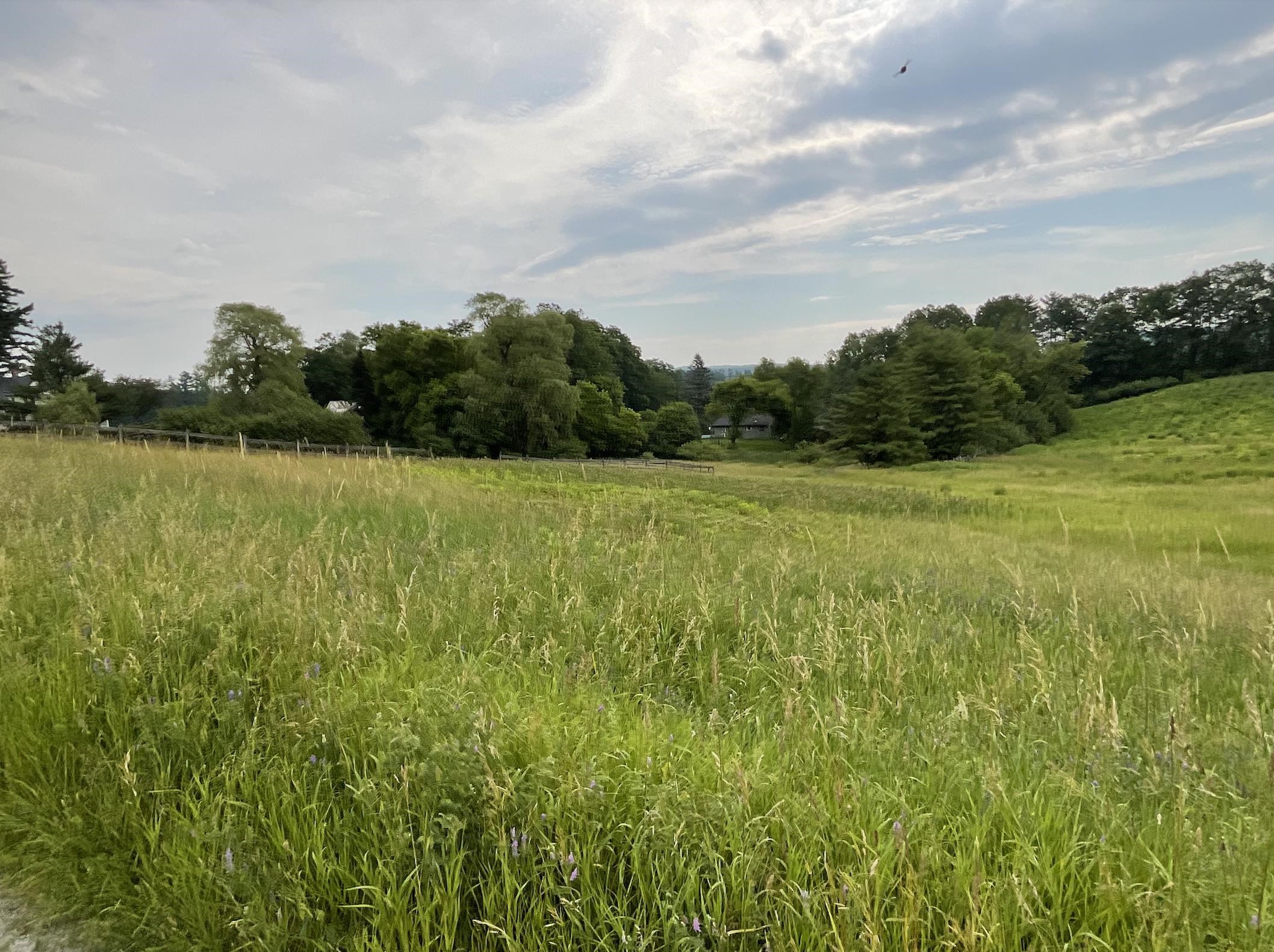 51 Loveland Road Norwich, VT 05055 - Photo 2 of 6