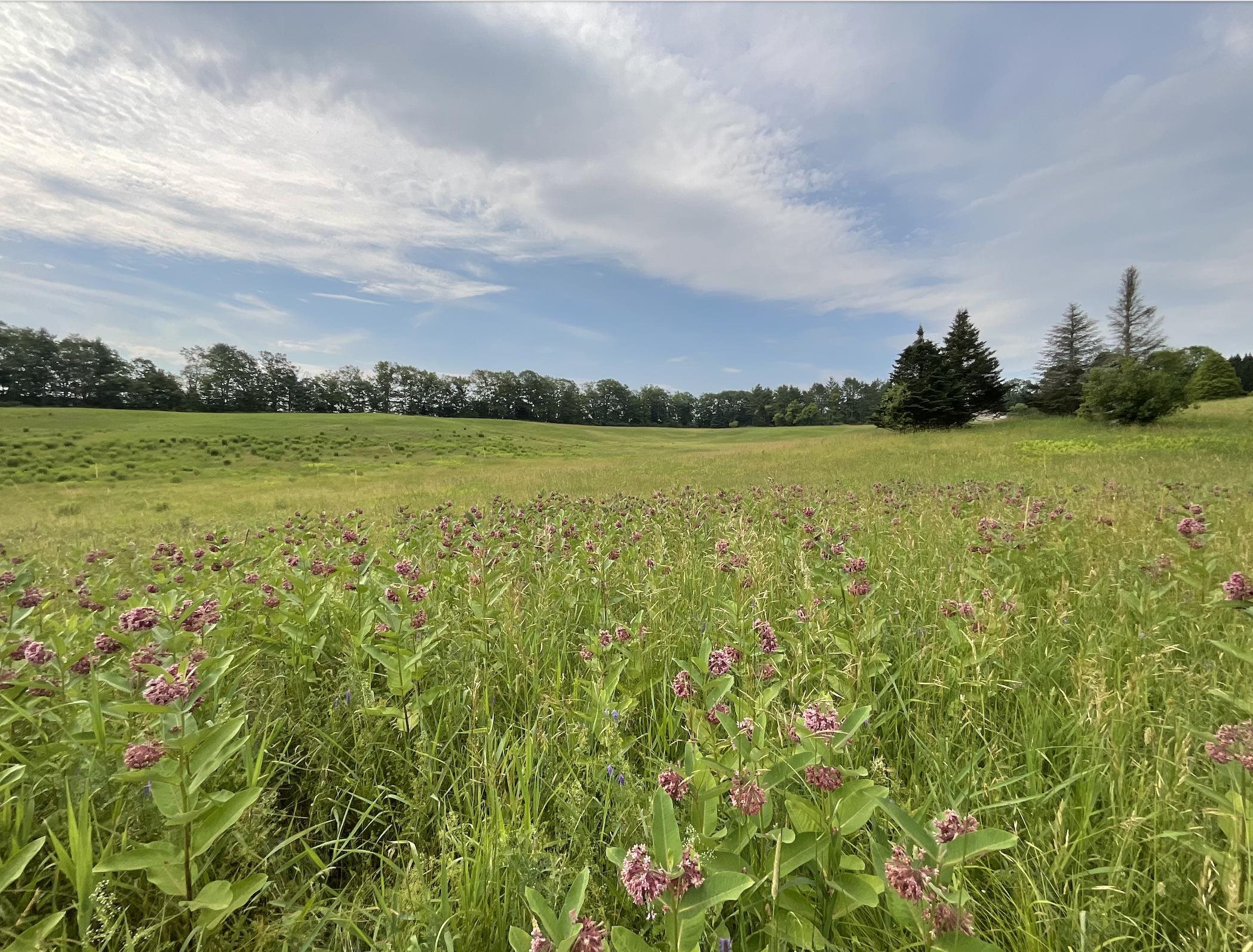 51 Loveland Road Norwich, VT 05055 - Photo 3 of 6