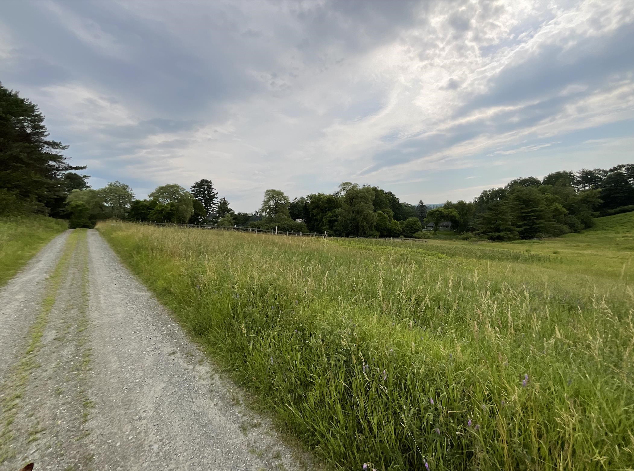 51 Loveland Road Norwich, VT 05055 - Photo 5 of 6