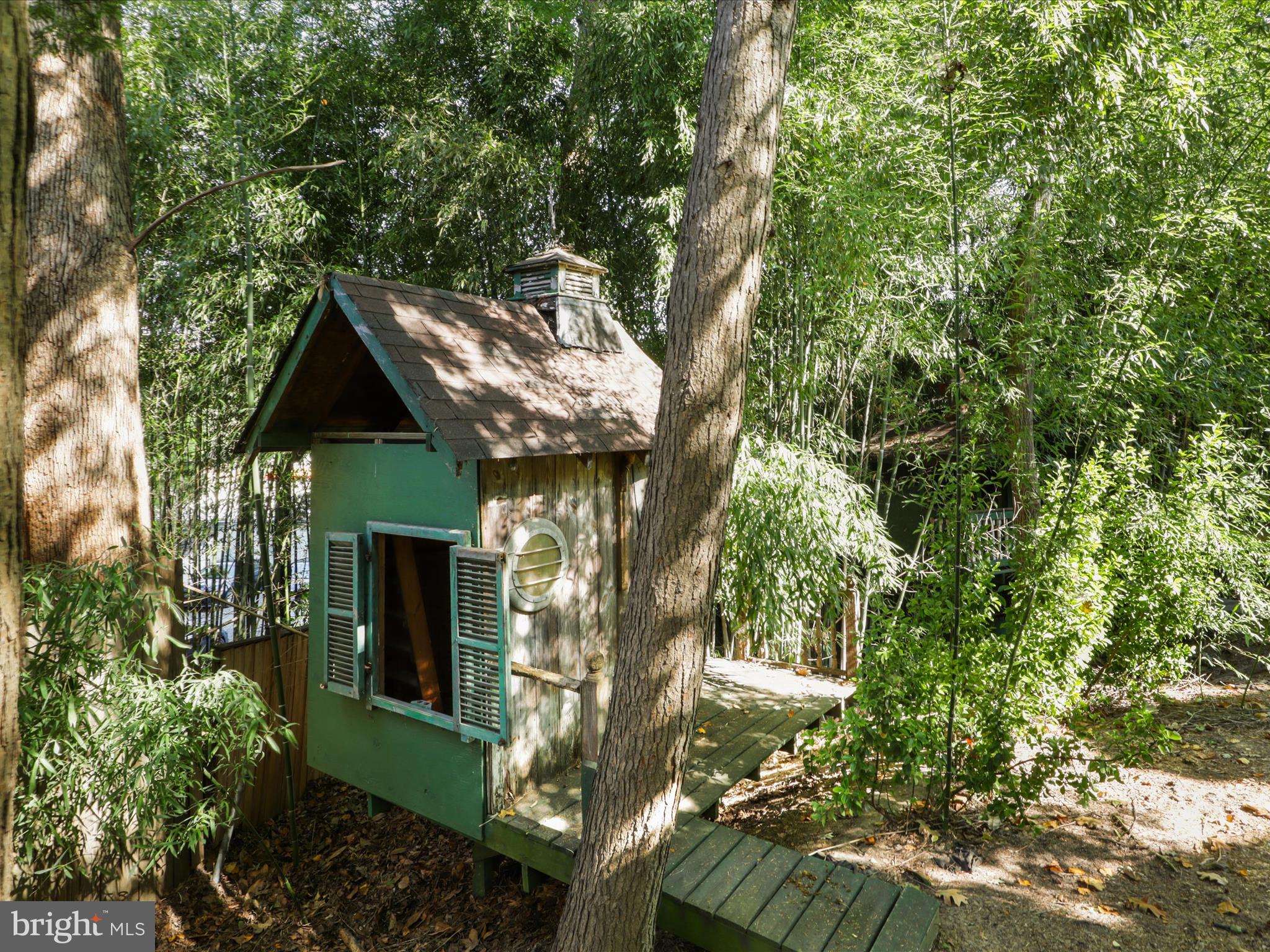 3309 20th Road North Arlington, VA 22207 - Photo 48 of 63 Tree house