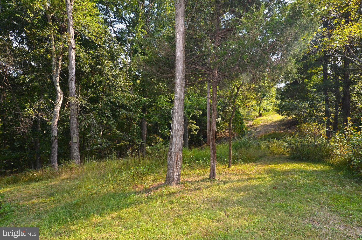 1333 Feltner Road Bluemont, VA 20135 - Photo 22 of 30 Exterior (General)