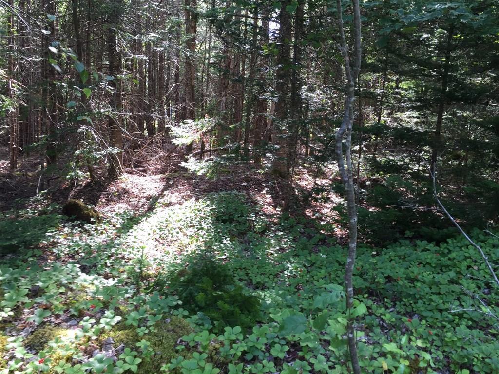 0 Ocean View Road, Unit LOT 1017 Jonesboro, ME 04648 - Photo 16 of 21 Photo