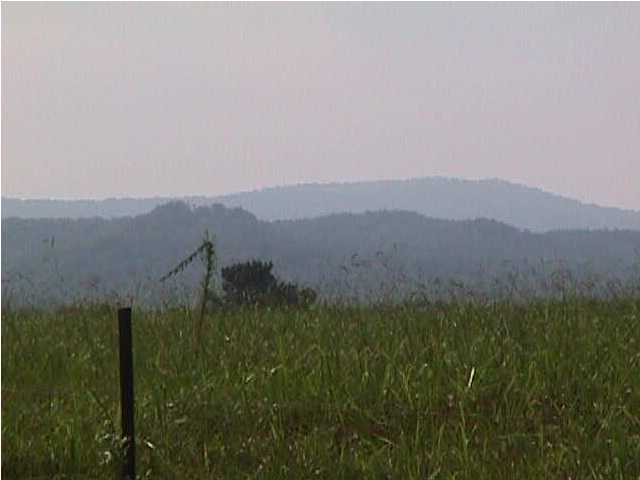 1298 Halls Mill Road Chickamauga, GA 30707 - Photo 5 of 9 Additional Photo