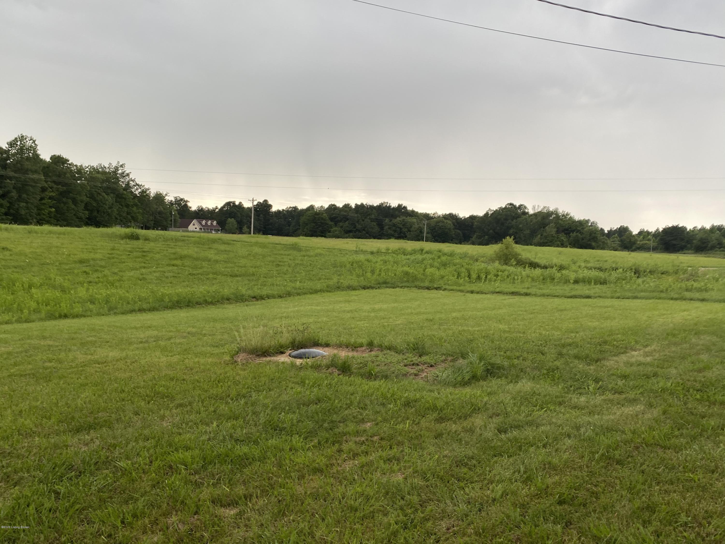 1249 Dickey Mill Road Mammoth Cave, KY 42259 - Photo 15 of 25 back yard