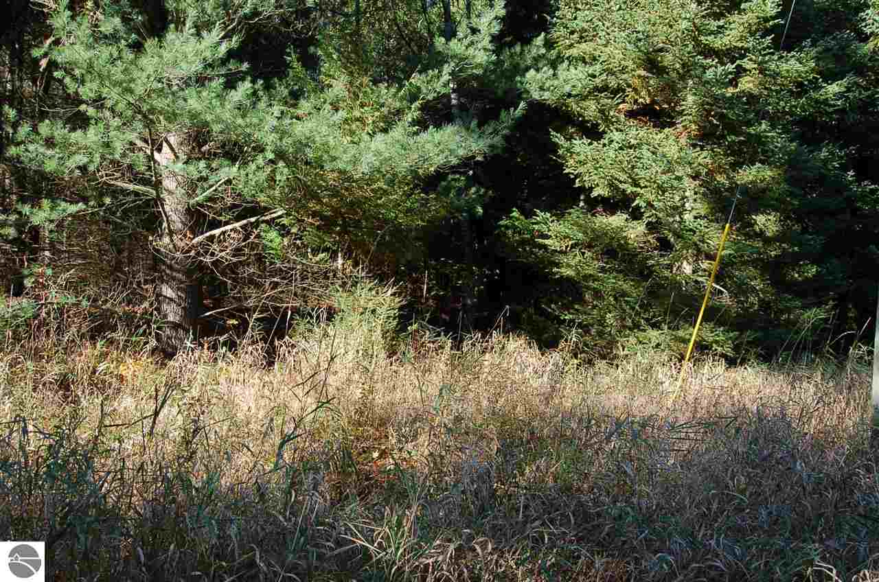 0 North Dundas Rd Rapid Alden, MI 49612 - Photo 7 of 12