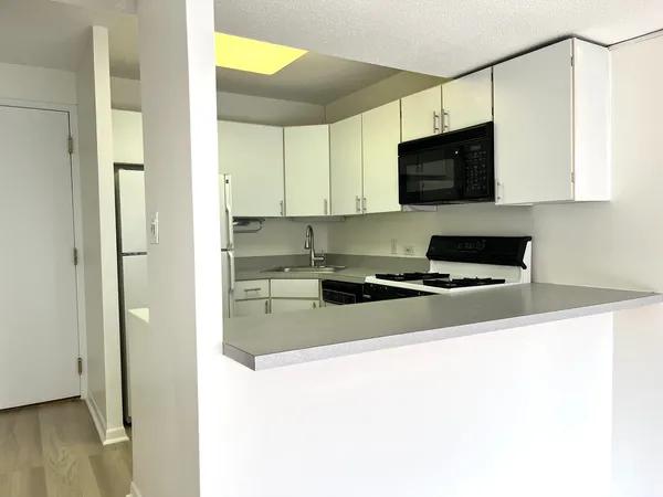 $2,050 | 230 East Ontario Street, Unit 2104, Chicago, IL 60611