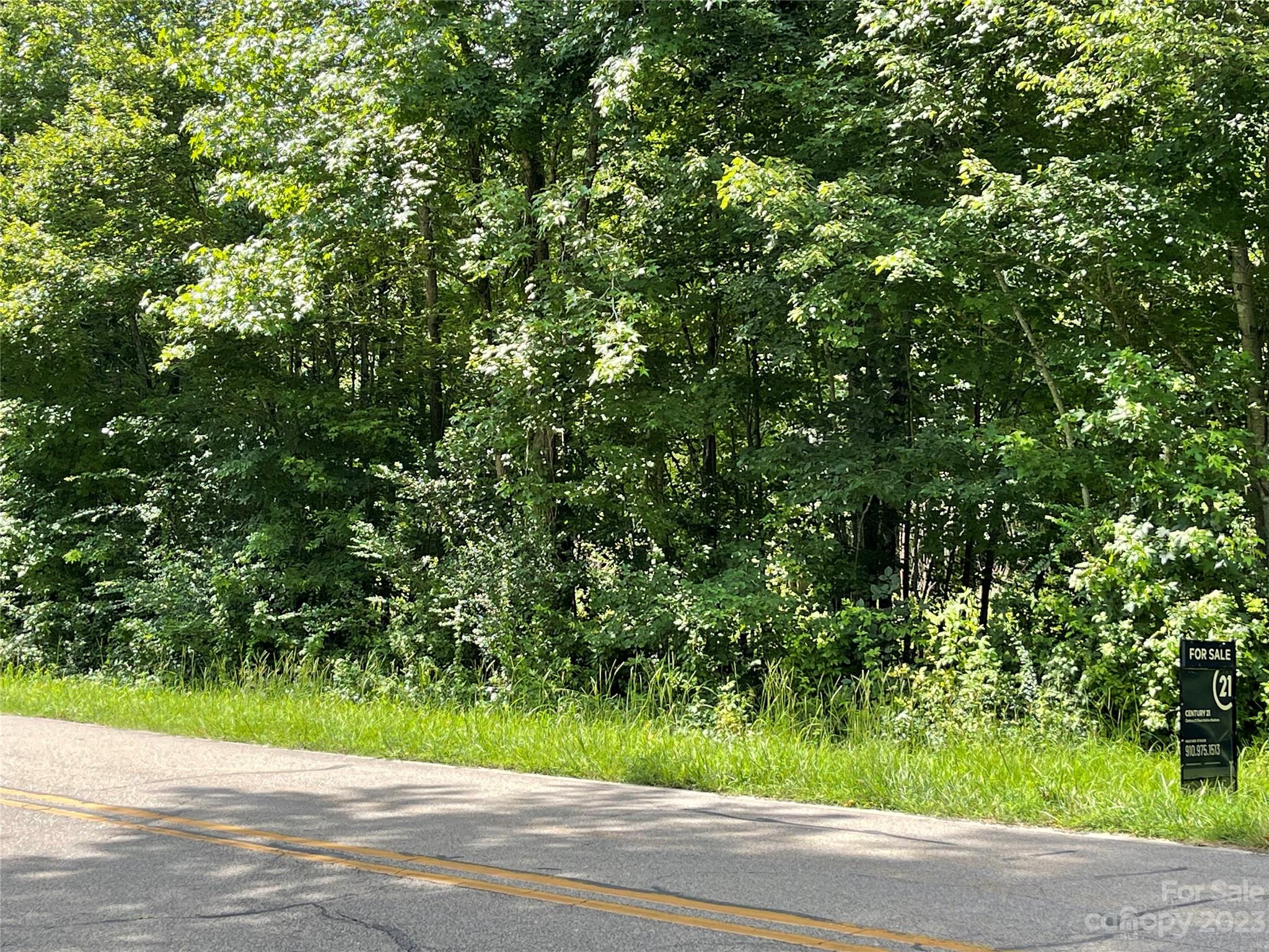 0 Hearne Farm Road Mount Gilead, NC 27306 - Photo 2 of 2 Gallery Image 2