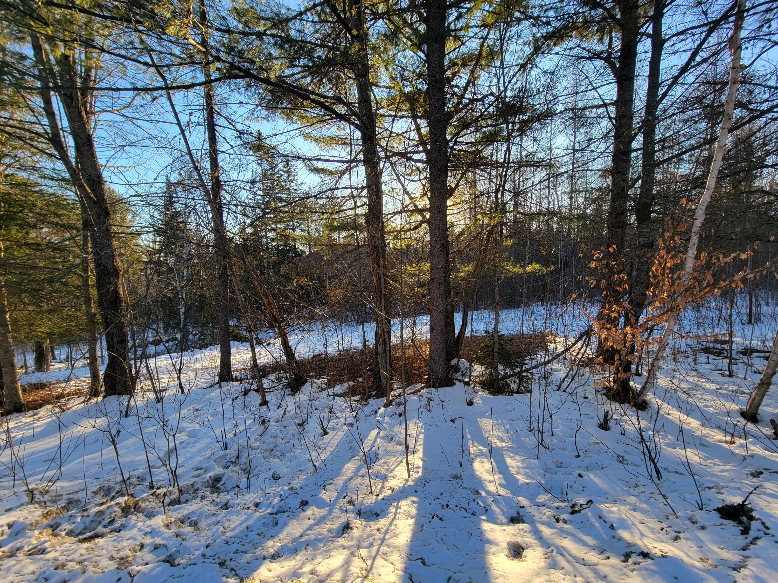 Lot 26-1 Map 4 Billington Road Milo, ME 04463 - Photo 13 of 20 20240219_161020