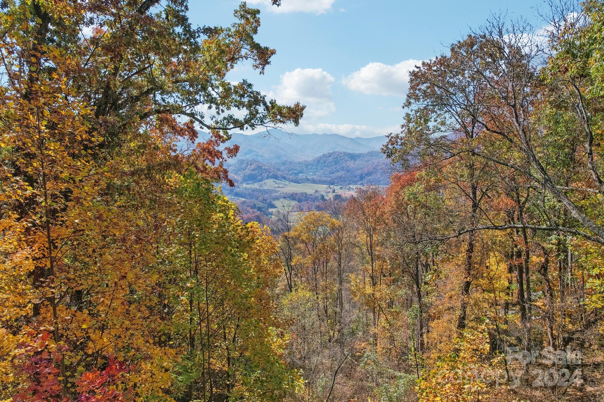 27 Tuckaway Road Waynesville, NC 28785 - Photo 2 of 48 Gallery Image 2