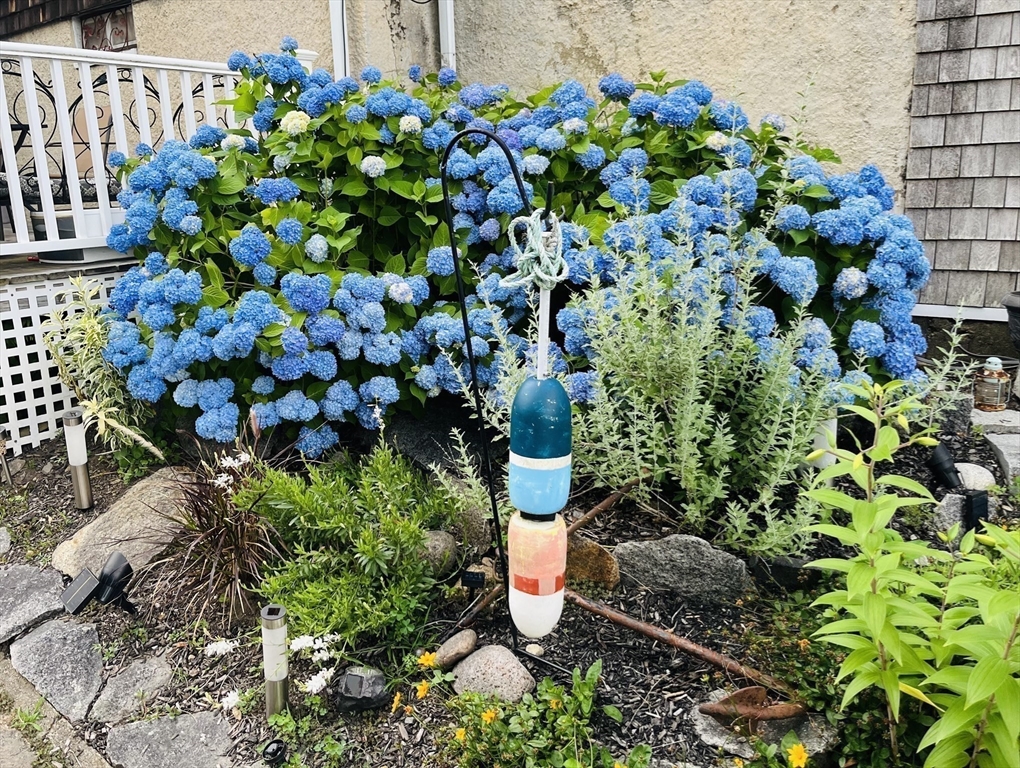 13 Leslie O Johnson Road Gloucester, MA 01930 - Photo 34 of 42