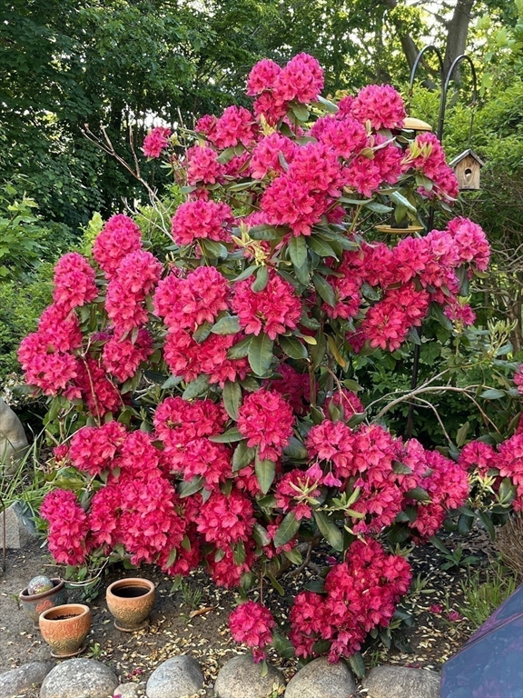 13 Leslie O Johnson Road Gloucester, MA 01930 - Photo 35 of 42