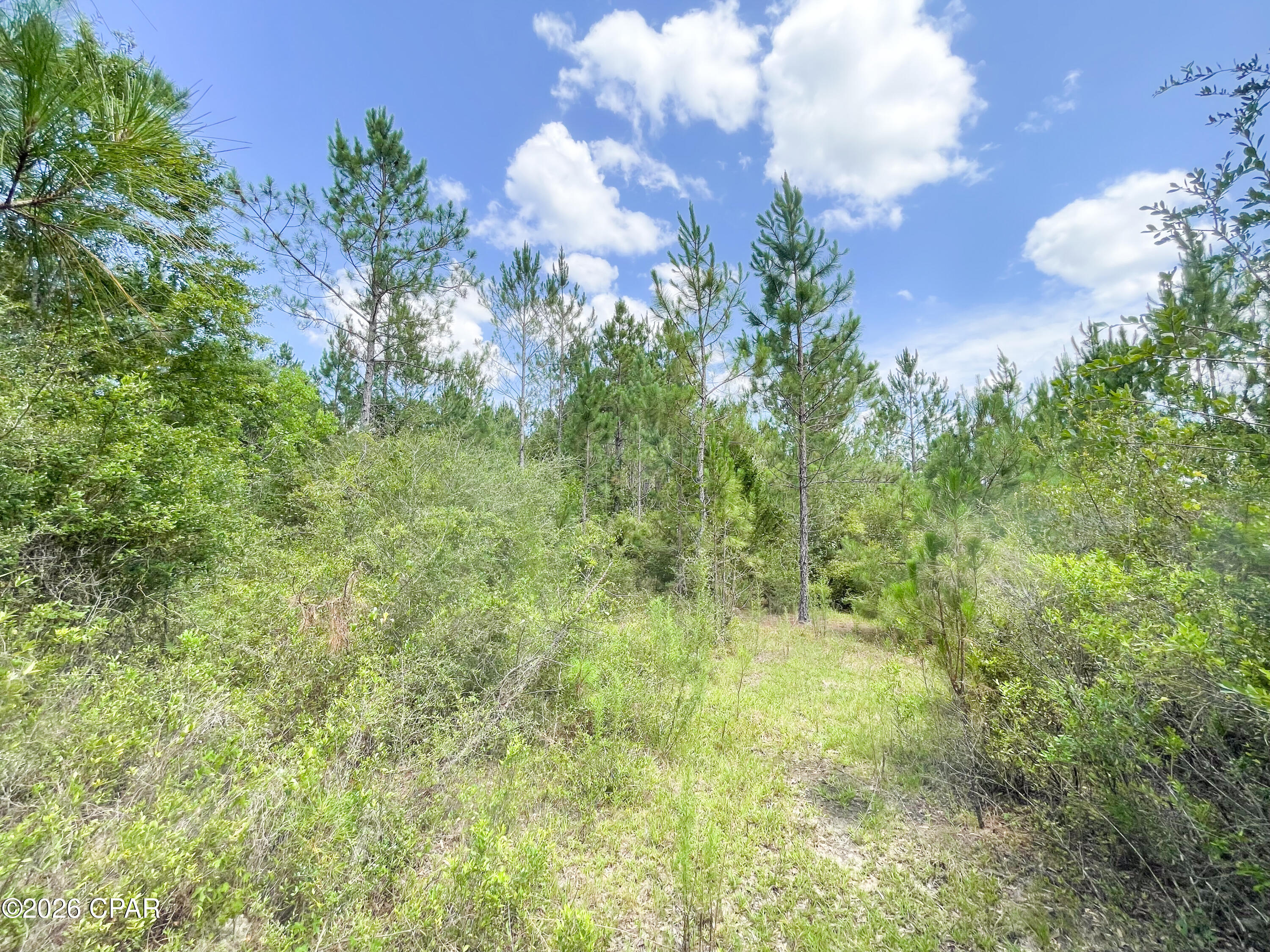 9 Bess Nook Road Bonifay, FL 32425 - Photo 12 of 20