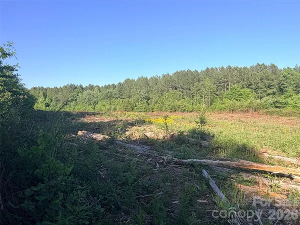 $45,000 | Lot 2 Doggett Grove Road, Forest City, NC 28043
